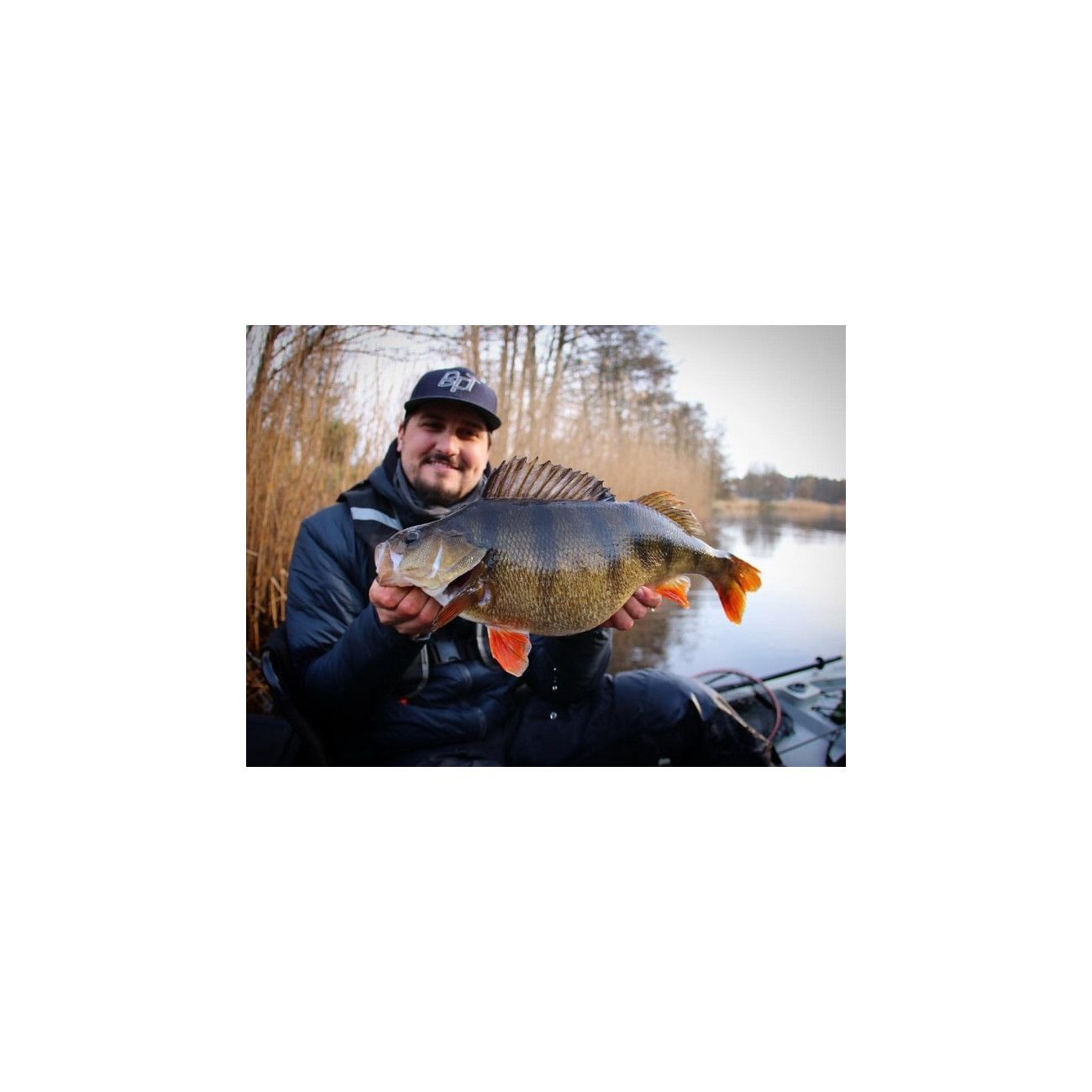 Köp CWC Albin Sharghi's Abborrpaket, online på Miekofishing.se!