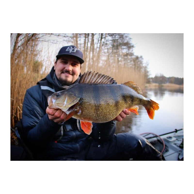 Köp CWC Albin Sharghi's Abborrpaket, online på Miekofishing.se!