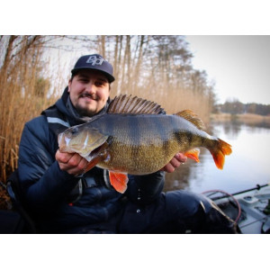 Köp CWC Albin Sharghi's Abborrpaket, online på Miekofishing.se!