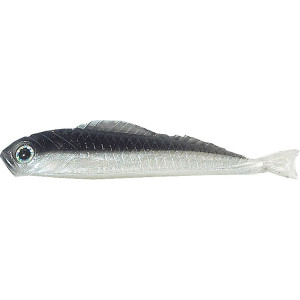 Köp Jaxon Pimpeljigg 6,5cm Dropshot, 5-pack - Svart/Vit, på Miekofishing.se!