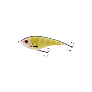 Köp Westin Swim Glidebait 10cm 34g Sinking - Official Roach online på Miekofishing.se