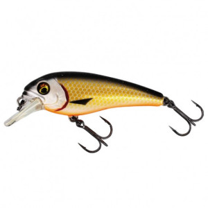 Köp din Westin BullyBite Crankbait 9g 6cm - Official Roach på Mieko Fishing!