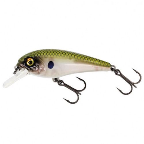 Köp din Westin BullyBite Crankbait 15g 7cm - Green Ghost på Mieko Fishing!
