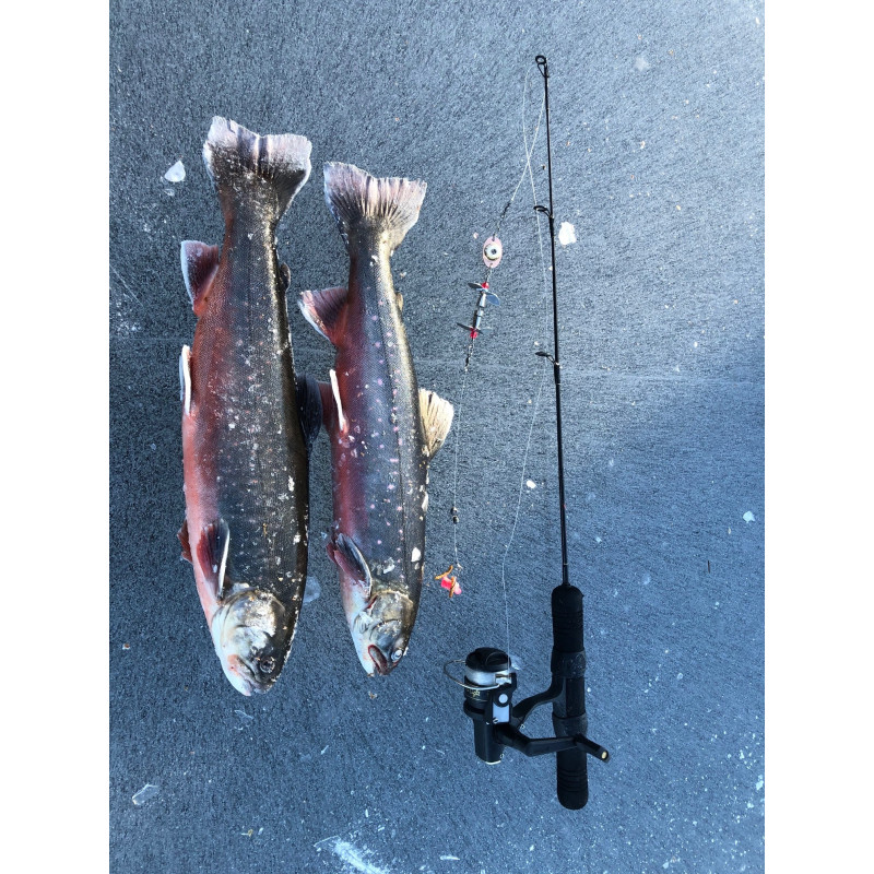 Köp Landöblinken Micro Koppar - Mix Led online på Miekofishing.se!