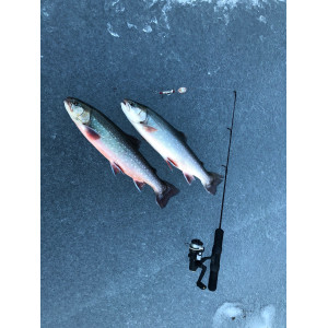 Köp Landöblinken Micro Koppar - Röd Led online på Miekofishing.se!