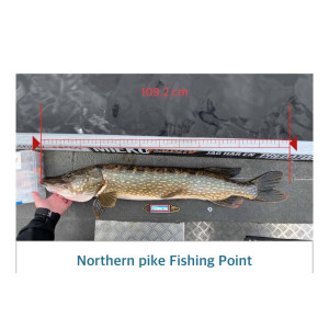 Köp Fishing Tag - Smart Measure på Miekofishing.se!