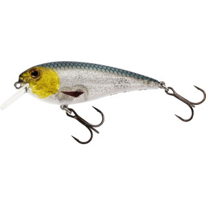 Köp Westin RawBite Crankbait 7 cm - 3D Headlight på Miekofishing.se!