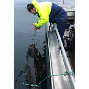 Köp Mieko Predator Spinner Tail RNR 390g - IS på Miekofishing.se!