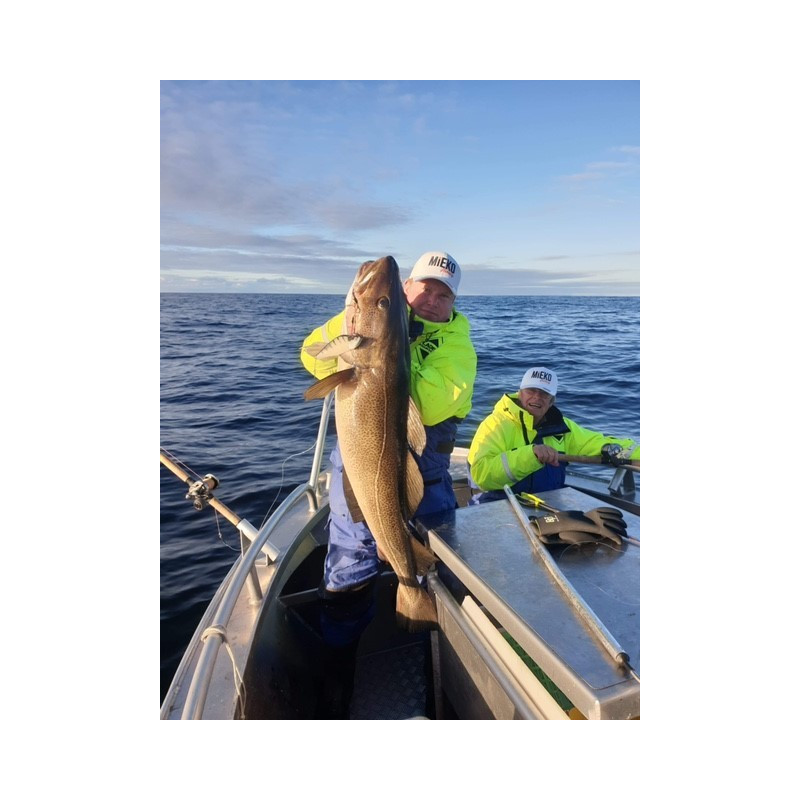 Köp Mieko Predator Spinner Tail RNR 390g - Frost på Miekofishing.se!