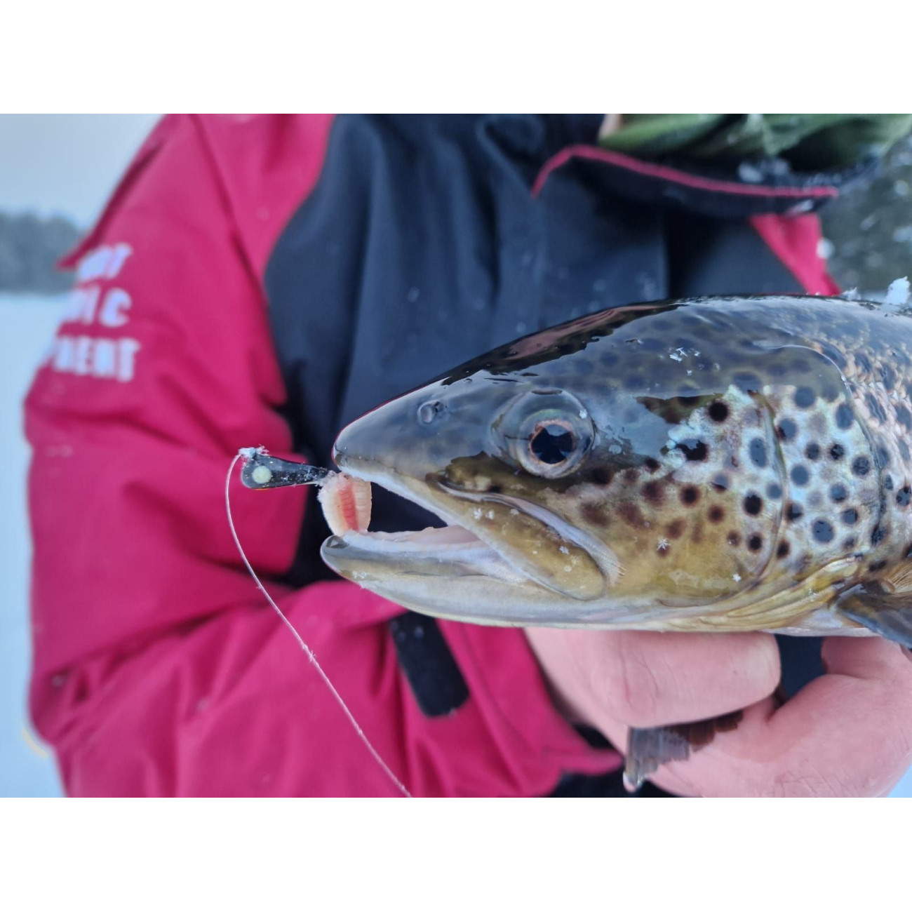 Köp JB Special Mormyska - Lys Svart Glitter på Miekofishing.se!