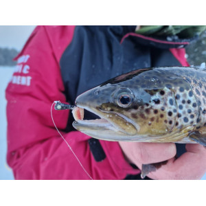 Köp JB Special Mormyska - Lys Svart Glitter på Miekofishing.se!