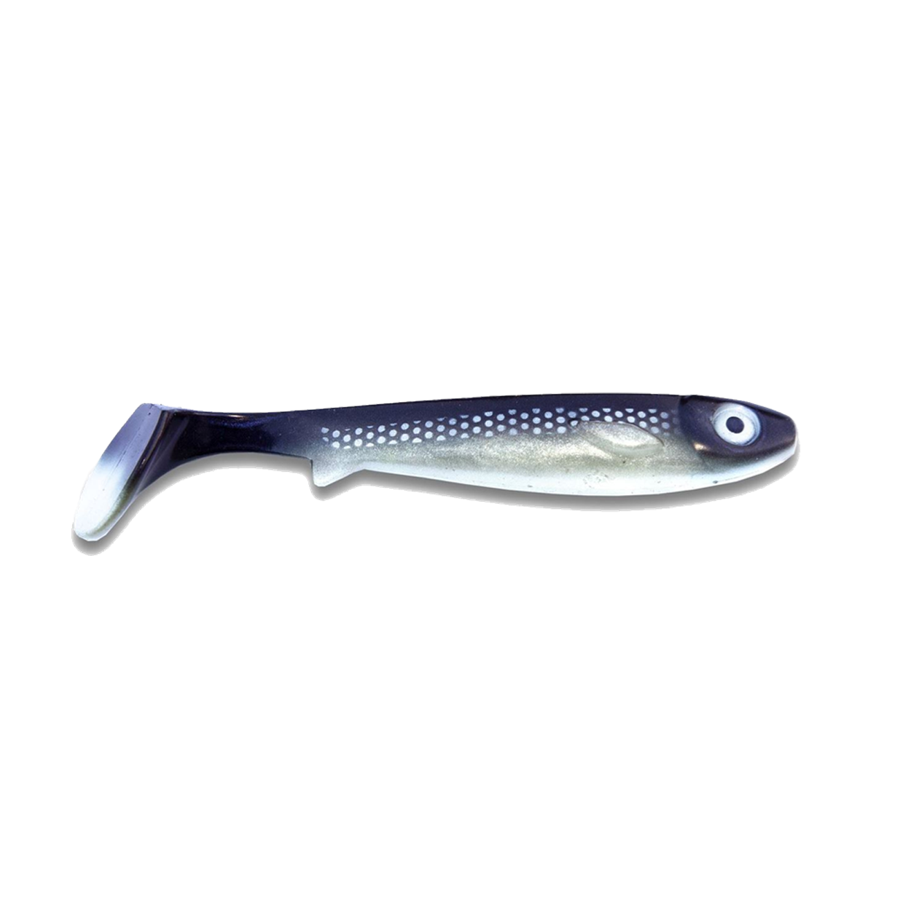 Köp Flatnose Shad 19cm - Siken / Coregonus (50gr) på Mieko Fishing!