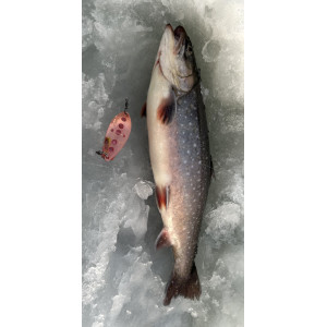 Köp Mieko Rödingblänke - Hot Yellow (Fluo)! Endast på Miekofishing.se!