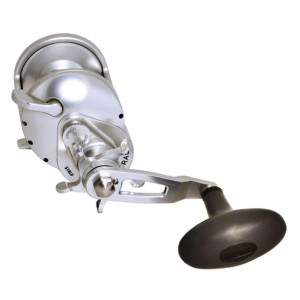 Köp Accurate Tern 2 Star Drag 500 - Havsfiskerulle på Miekofishing.se!