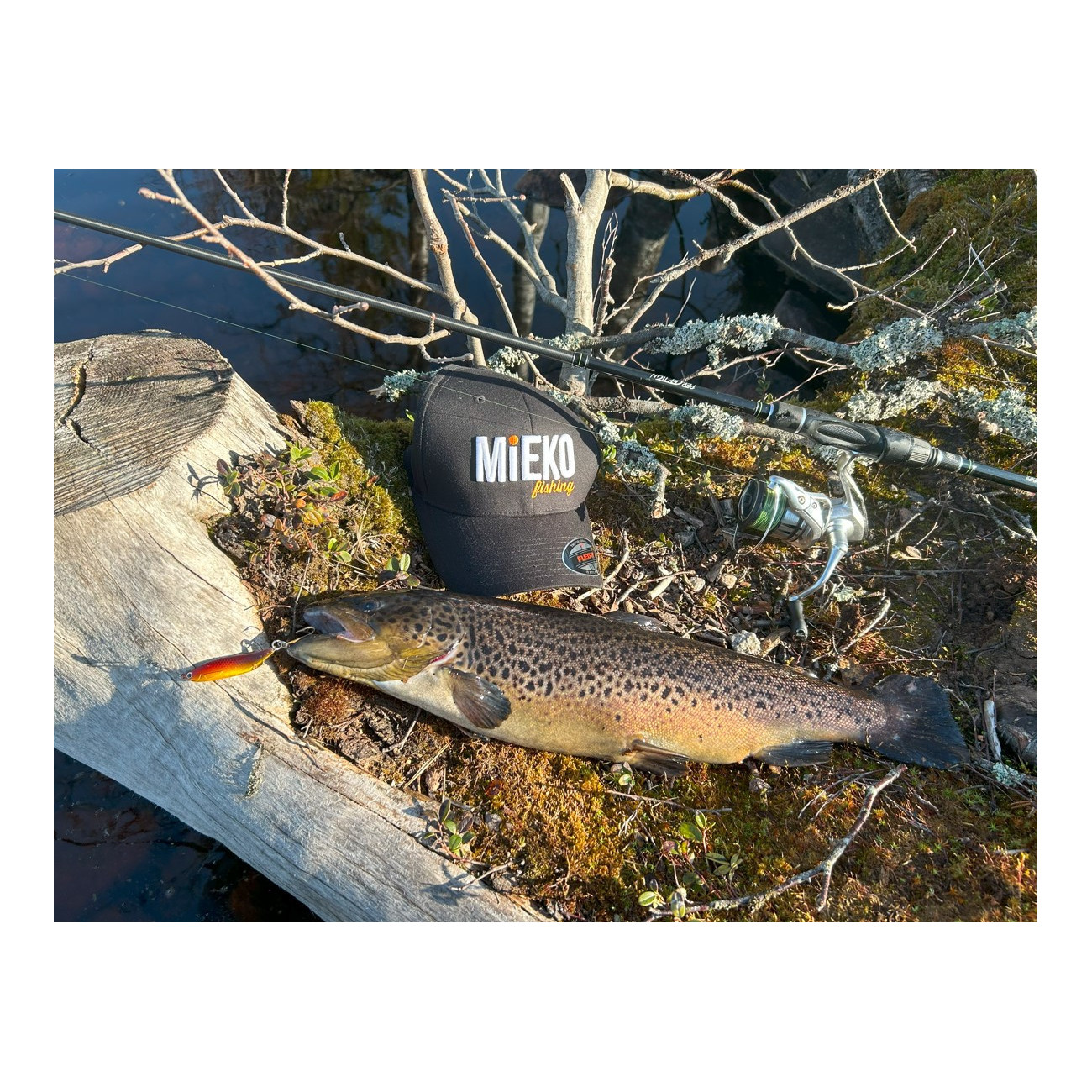 Köp ditt 3-Pack Mieko Smolt 13 gram på Miekofishing.se!