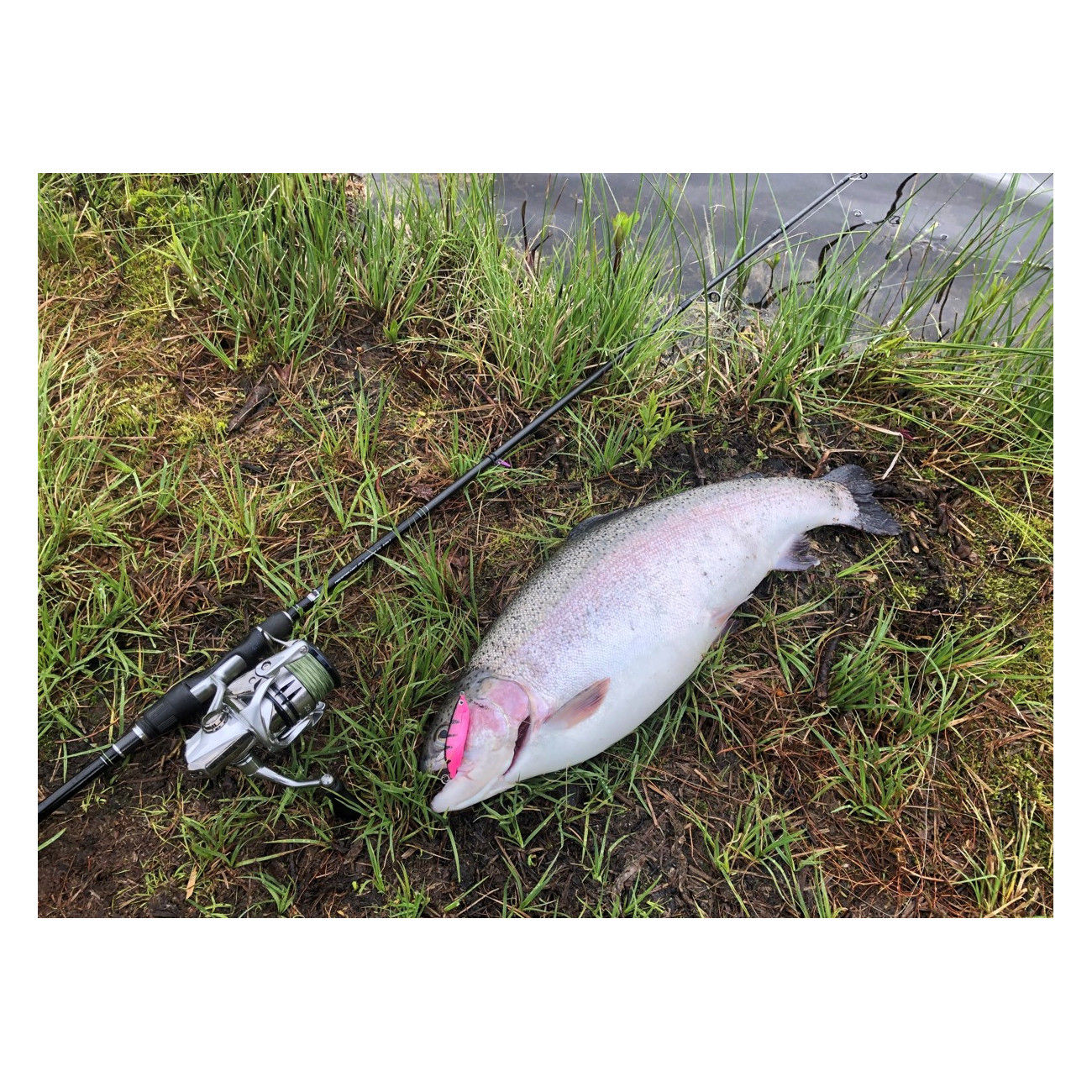 Köp ditt 3-Pack Mieko Smolt 13 gram på Miekofishing.se!