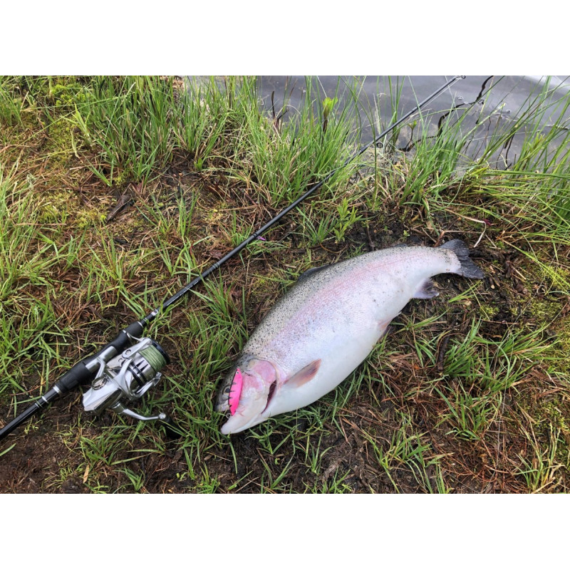 Köp ditt 3-Pack Mieko Smolt 13 gram på Miekofishing.se!