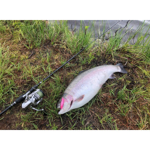 Köp ditt 3-Pack Mieko Smolt 13 gram på Miekofishing.se!