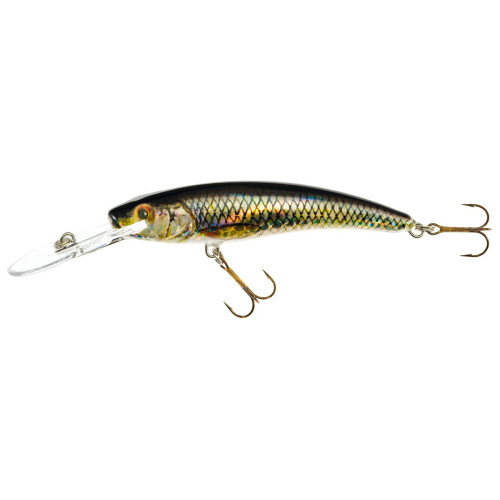Köp Jaxon Diver Gösvobbler 9 cm - UV Roach på Miekofishing.se!