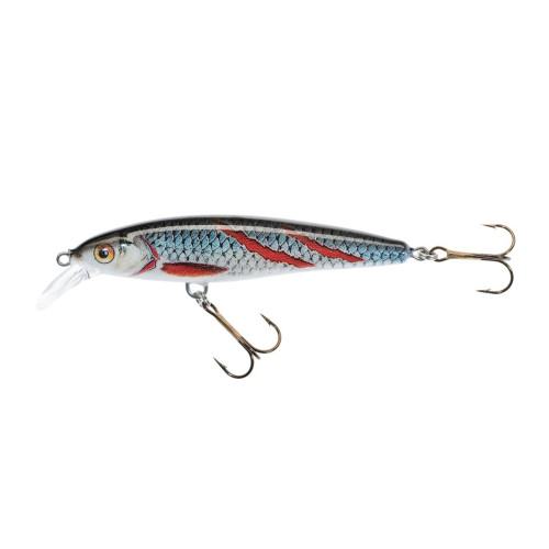 Köp Jaxon Vobbler Alba Twitch 9cm - Wounded Roach på Miekofishing.se!