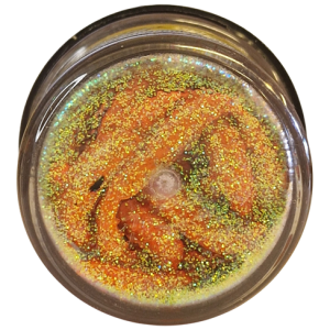 Köp PowerBait Honey Worm 25mm - Orange/Scales (Banana Boost) på MiEKO!