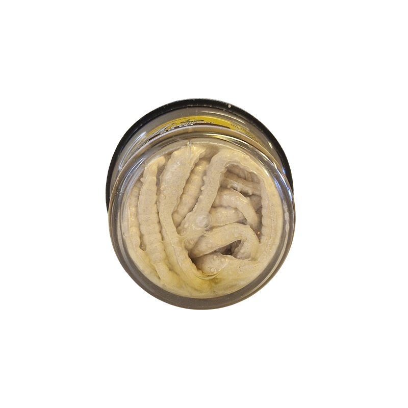 Köp PowerBait Honey Worm 25mm - White (Garlic) på MiEKOfishing.se!