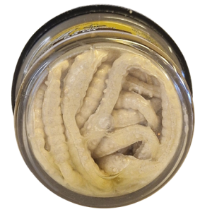 Köp PowerBait Honey Worm 25mm - White (Garlic) på MiEKOfishing.se!