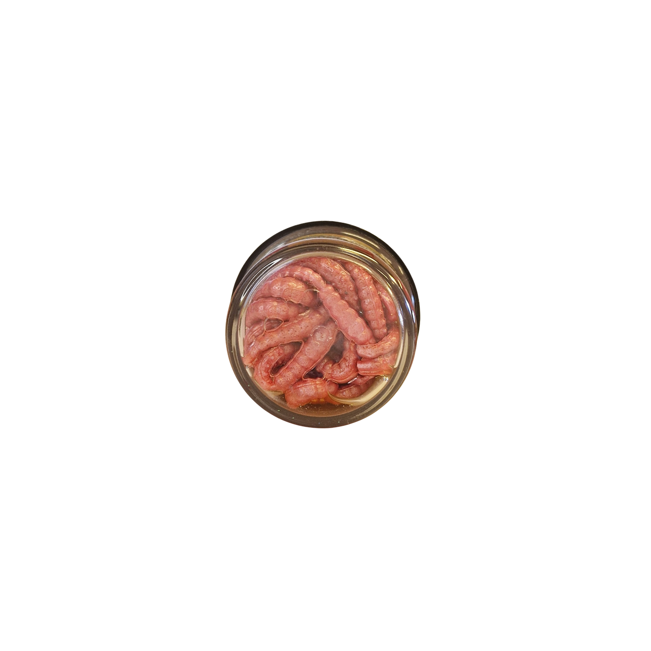 Köp PowerBait Honey Worm 25mm - Bubblegum (Garlic) på MiEKOfishing.se!