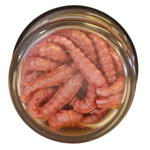 Köp PowerBait Honey Worm 25mm - Bubblegum (Garlic) på MiEKOfishing.se!