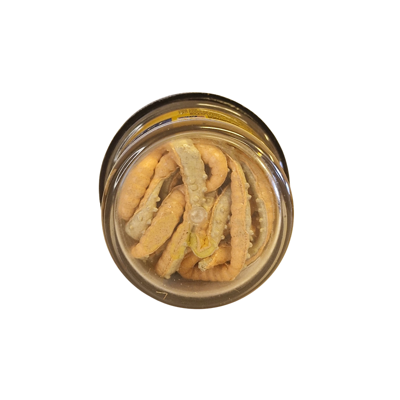 Köp PowerBait Honey Worm 25mm - Orange/Pearl på MiEKOfishing.se!