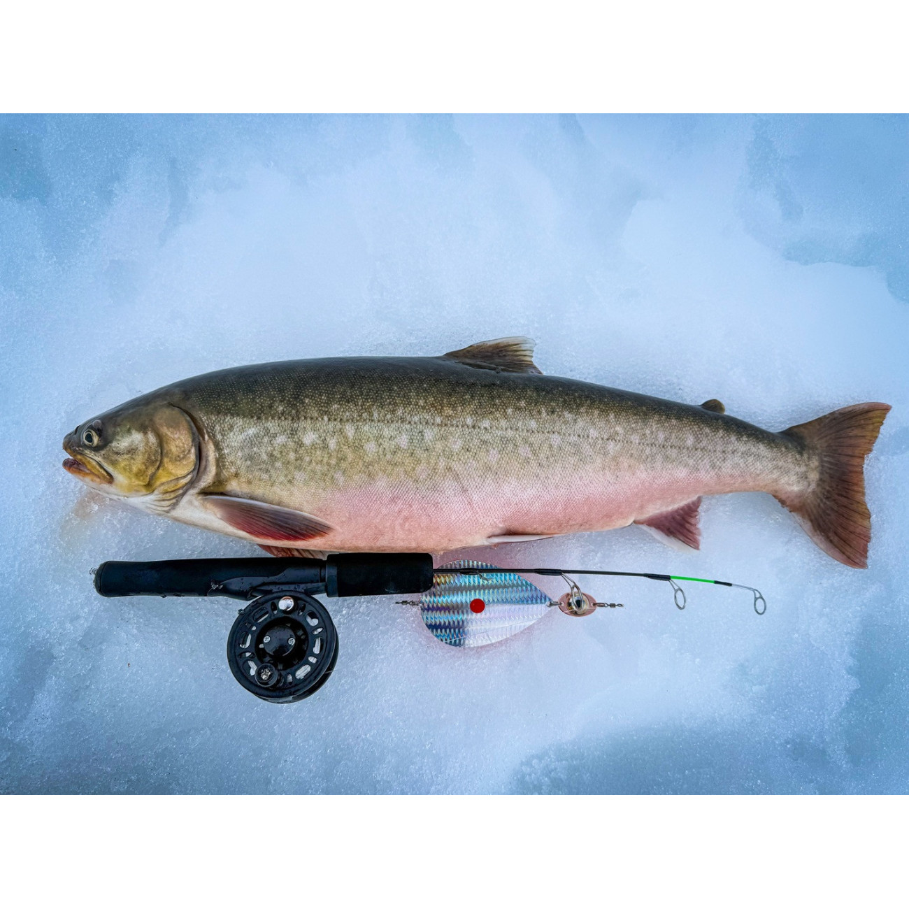 Köp Hurricane ICE Sight Medium 41cm - Pimpelspö på MiEKOfishing.se!