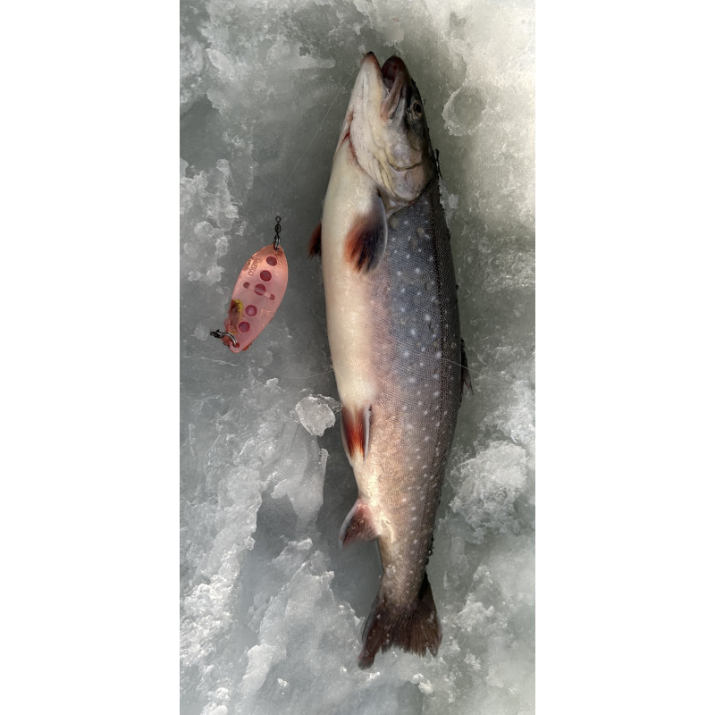 Köp Mieko Rödingblänke - Hot Yellow med mormyska på Miekofishing.se!