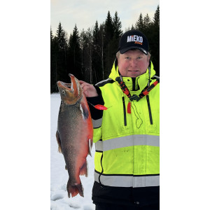 Köp Mieko Rödingblänke - Hot Yellow med krok B983 på Miekofishing.se!