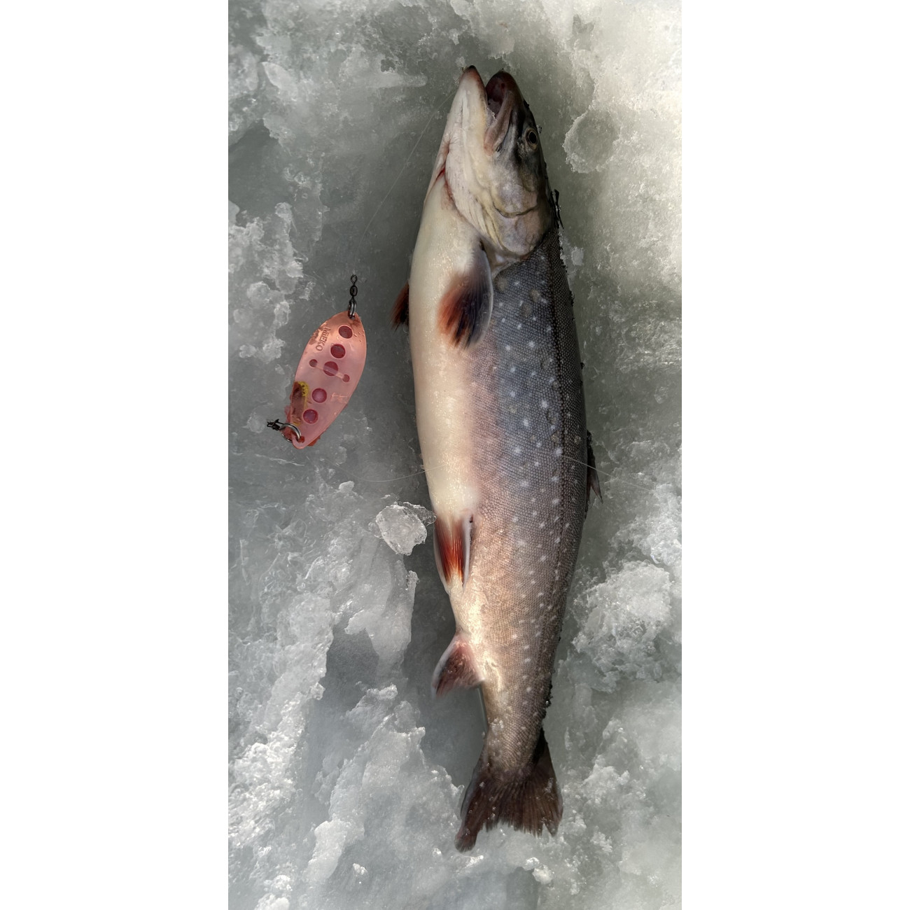 Köp Mieko Rödingblänke - Koppar med krok B983 på Miekofishing.se!