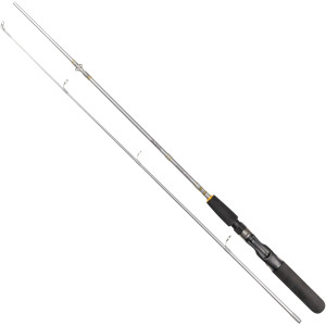 Köp Daiwa Silvercast Spinnspö 6' 10-30g på Miekofishing.se!
