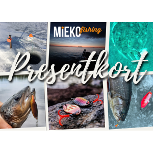 Presentkort 250 kr