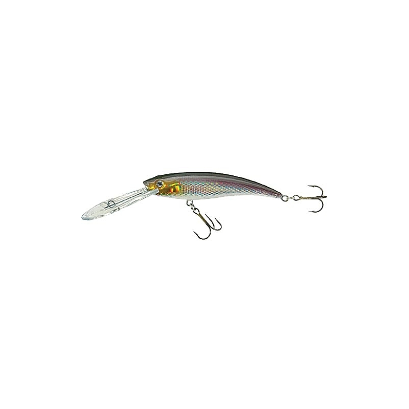 Köp Jaxon Diver Gösvobbler 11 cm - Whitefish på Miekofishing.se!
