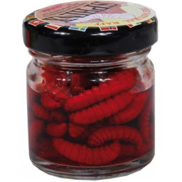 Betesfisk, larver & maggots
